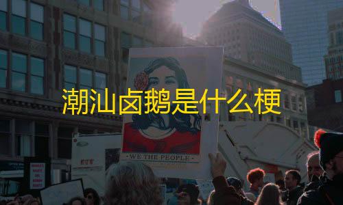 和平精英辅助购买网站潮汕卤鹅是什么梗