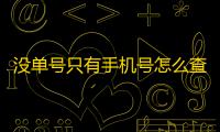 没单号只有手机号怎么查快递？详细步骤教你轻松搞定