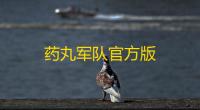药丸军队官方版